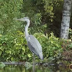 Ostseezauber Διαμέρισμα *