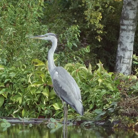 Ostseezauber Lejlighed *